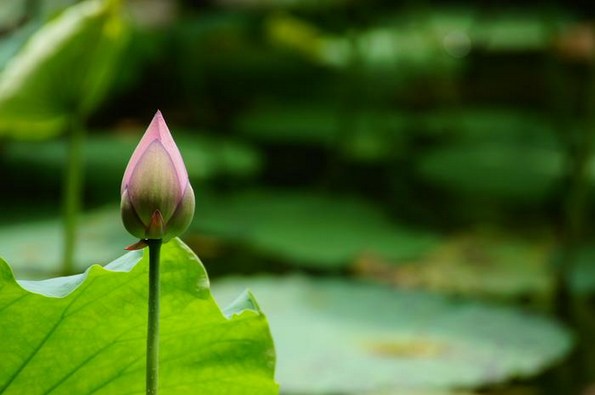 1618640722766101.jpg 4.jpg