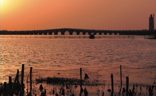 1618641579819188.jpg 71.jpg