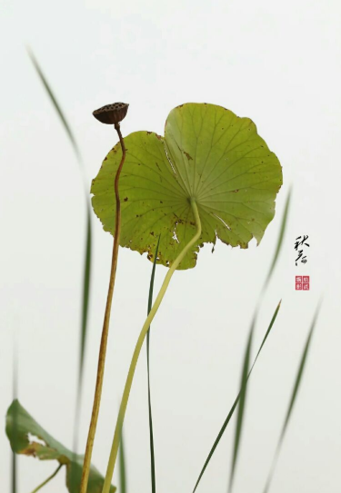 1618641692741487.png 7.png