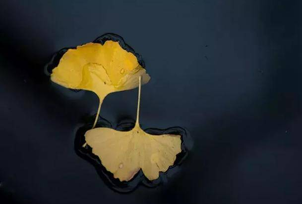 1618641721946278.png 8.png