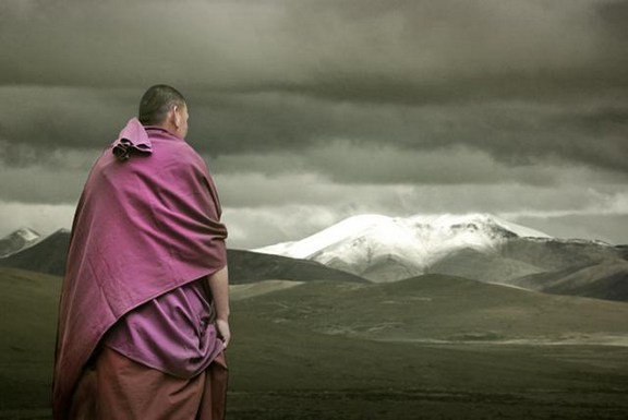 1618641779449565.jpg 13.jpg