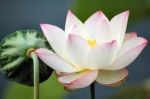 海涛法师：人生小语