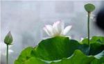 海涛法师：做习惯的主人
