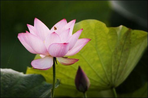 1618898175145761.jpg 7.jpg