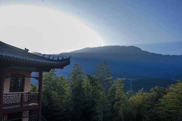 1618898376755264.jpg 11.jpg