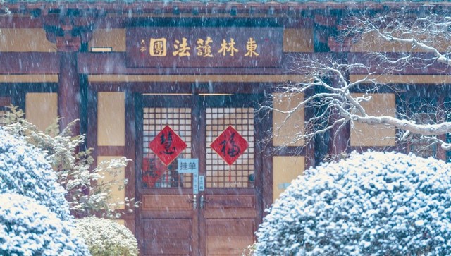 1618900703983521.jpg 43.jpg