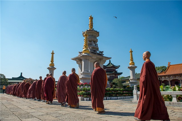 1618901043801154.jpg 49.jpg