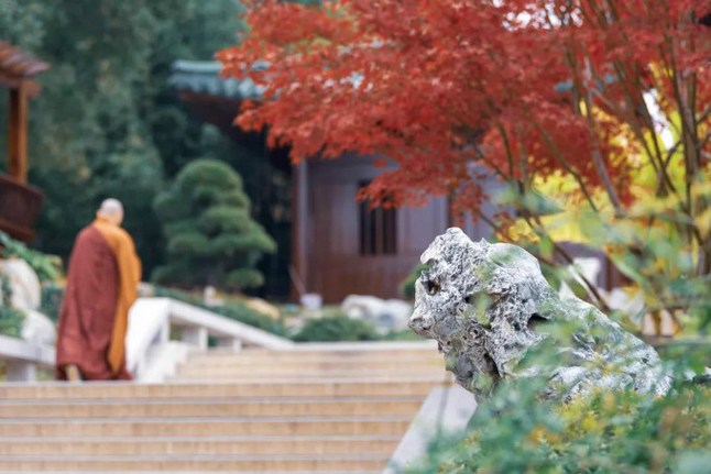 1618901312146509.jpg 53.jpg