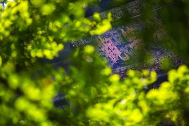 1618901491466957.jpg 20.jpg