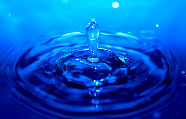 1618901679450289.jpg 58.jpg