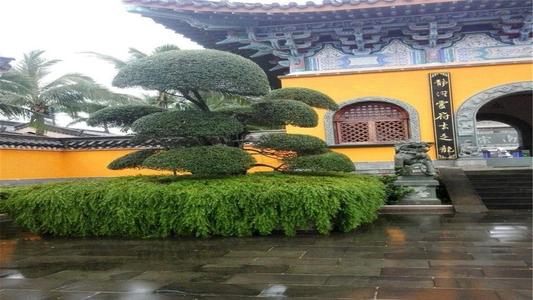 1618902512382663.jpg 微信图片_20200911133813.jpg