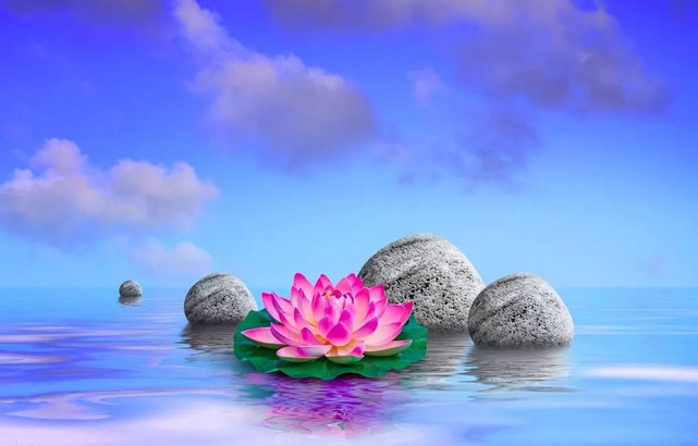 1618903601639587.jpg 16.jpg