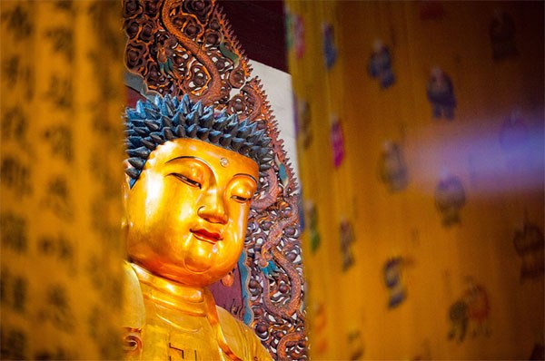 1618904216105488.jpg 25.jpg