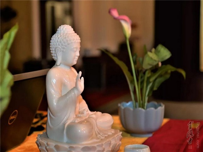 1618905527940203.jpg 44.jpg