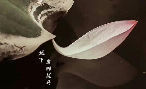 1618971296260718.jpg 微信图片_20200917090836.jpg