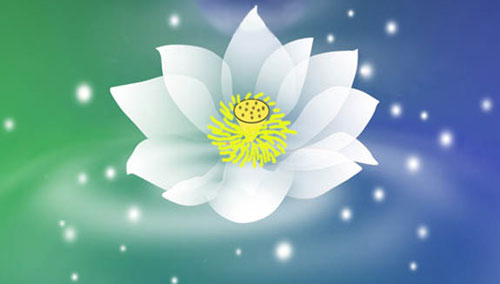 1618971420539317.jpg 25.jpg