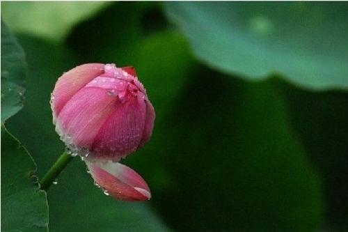 1618971808756999.jpg 微信图片_20200917090941.jpg