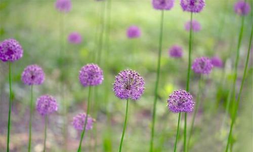 1618971880168177.jpg 微信图片_20200917091040.jpg