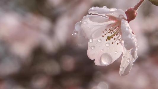 1618972015250615.jpg 微信图片_20200918083732.jpg