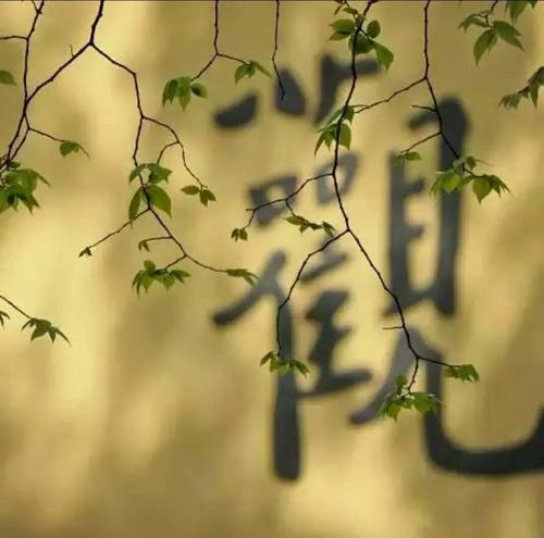 1618972071159321.jpg 微信图片_20200918083812.jpg