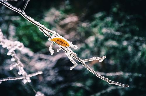 1618972168462404.jpg 微信图片_20200918083829.jpg