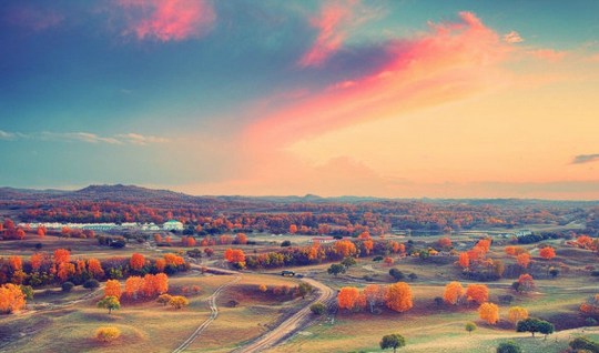 1618973492548323.jpg 43.jpg