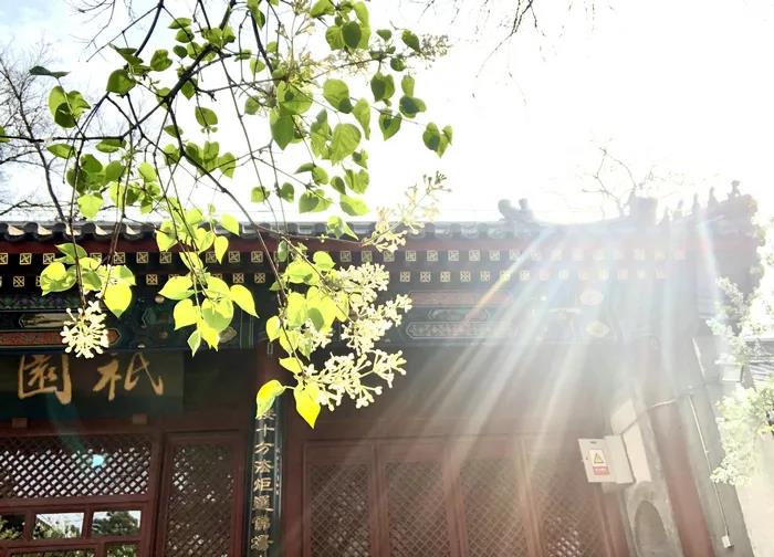 1618974013602856.jpg 微信图片_20200921135026.jpg