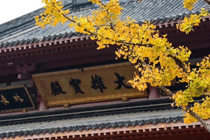 1618975461840996.jpg 微信图片_20200921101603.jpg