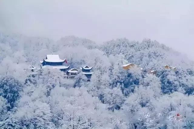 1618976207413544.jpg 微信图片_20201106113421.jpg