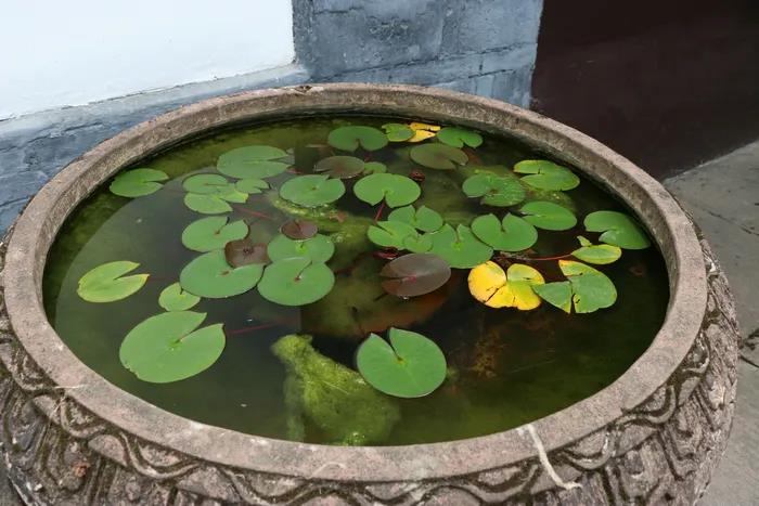 1618976331775605.jpg 微信图片_20200921100811.jpg