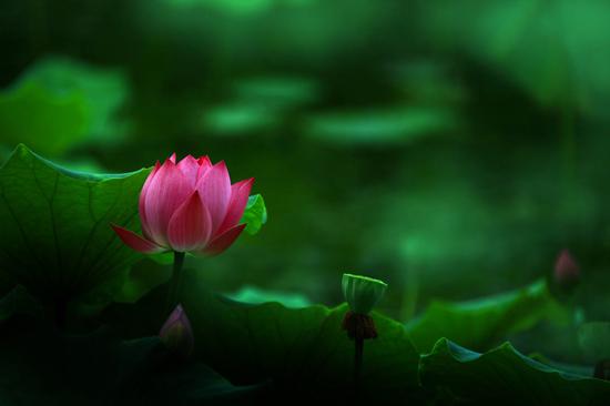 1618977745644363.jpg 微信图片_20200925163246.jpg