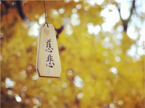 1618977776969499.jpg 微信图片_20200925164654.jpg