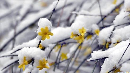 1618983760115289.jpg 微信图片_20200928084904.jpg