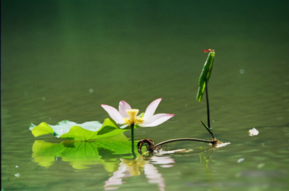 1618983792530474.jpg 微信图片_20200928085200.jpg