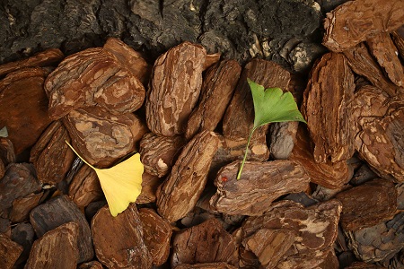 1618983813411664.jpg 微信图片_20200928085239.jpg