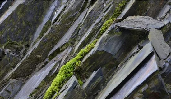 1618983864376689.jpg 微信图片_20200928090920.jpg