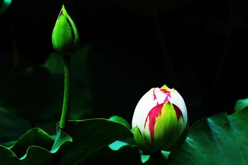 1618984129352563.jpg 微信图片_20200928093331.jpg