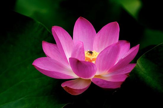 1618984929407220.jpg 微信图片_20200928165023.jpg