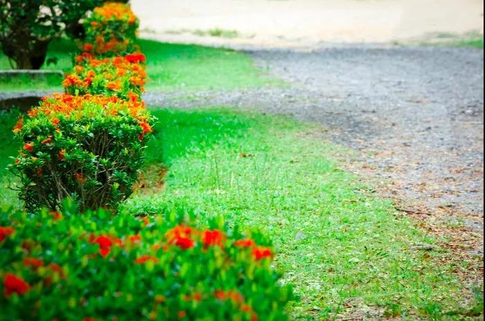 1618986350895583.jpg 微信图片_20201008091613.jpg