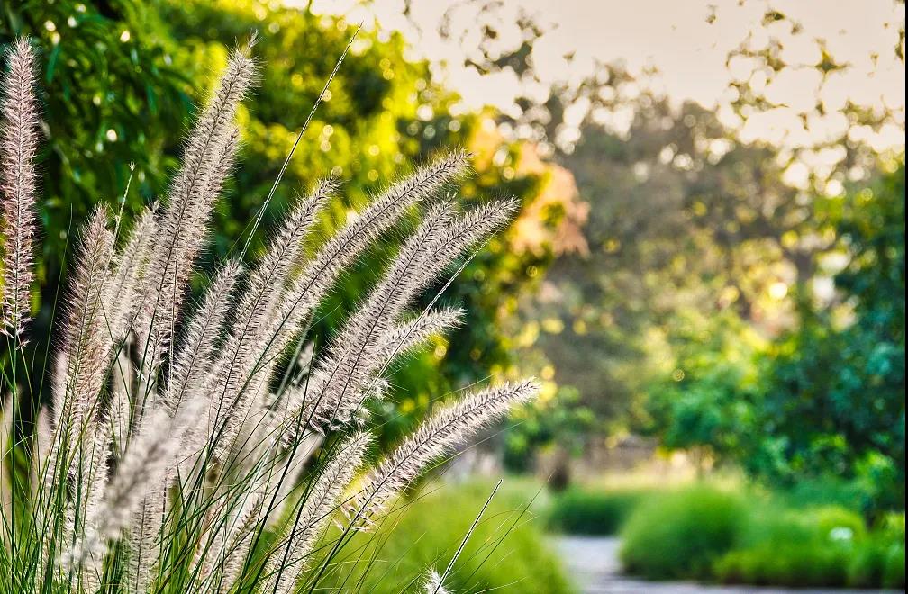 1618986480616069.jpg 微信图片_20201008091621.jpg