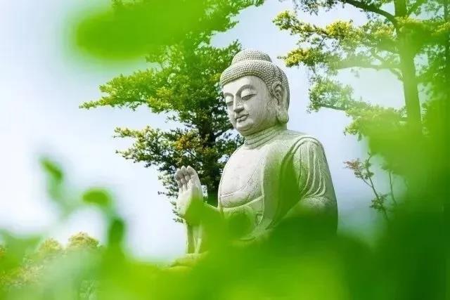 1618986977101854.jpg 微信图片_20201008100846.jpg