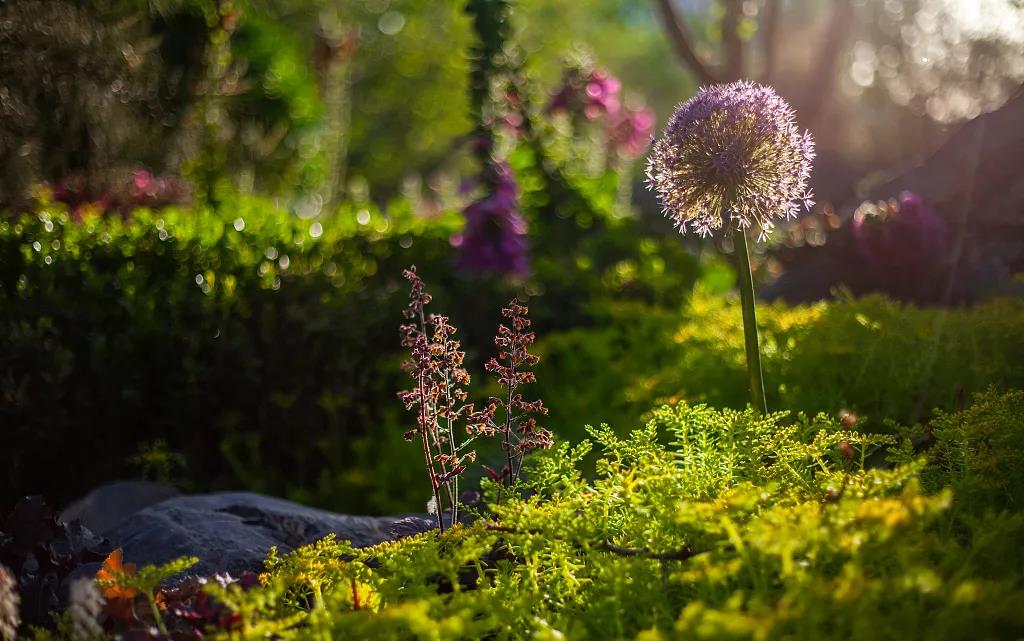 1618987007993031.jpg 微信图片_20201008101028.jpg