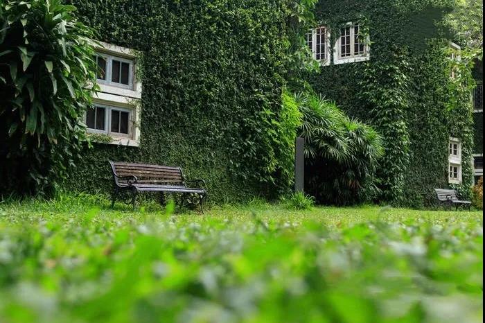 1618987093181712.jpg 微信图片_20201008102921.jpg