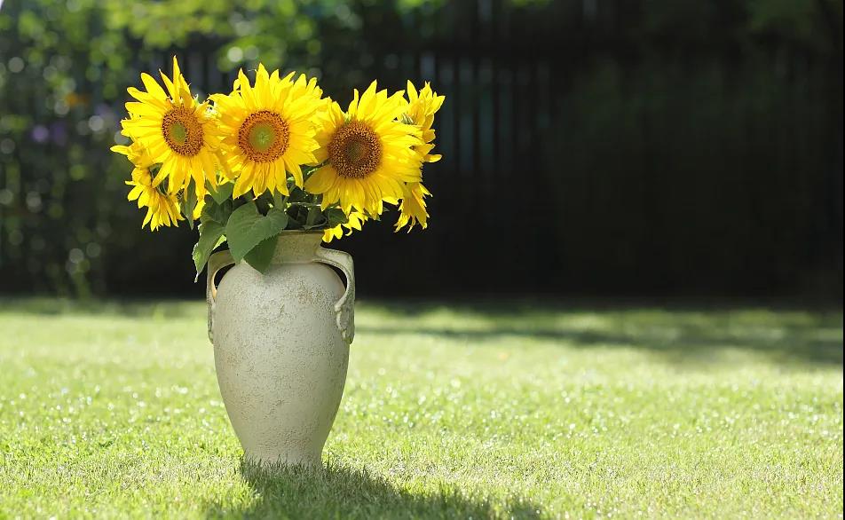 1618987372680398.jpg 微信图片_20201008110902.jpg