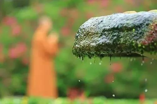 1618987395377805.jpg 微信图片_20201008111126.jpg