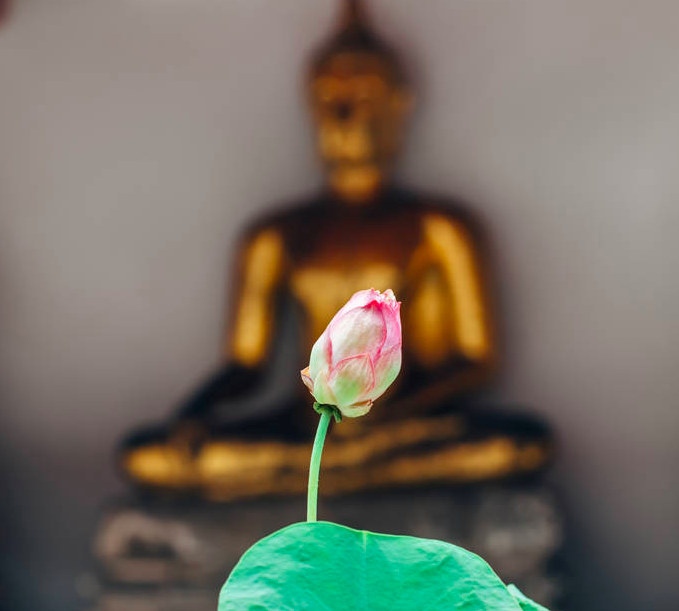 1618987598527902.png 微信图片_20201008113834.png