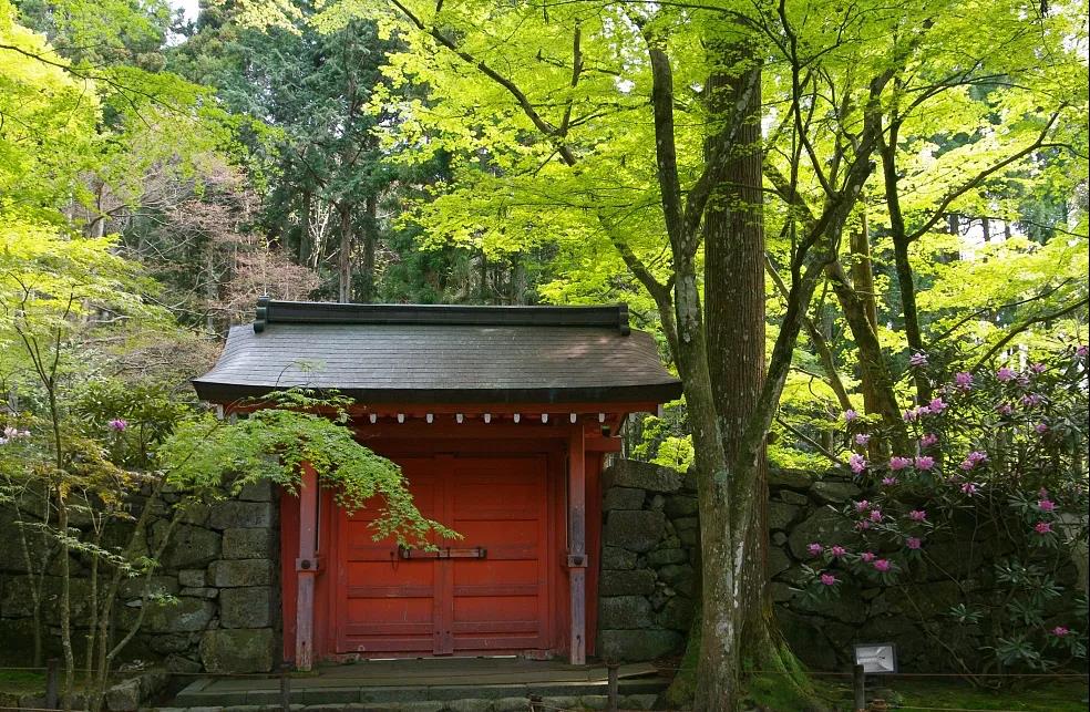 1618987683383869.jpg 微信图片_20201008114748.jpg