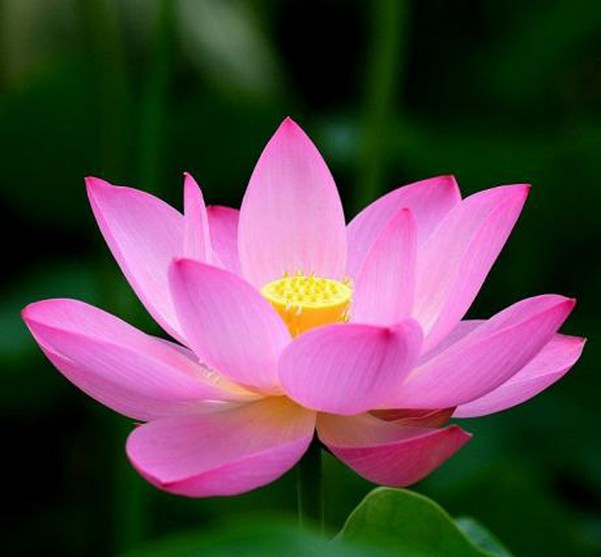 1618988209725370.jpg 3.jpg