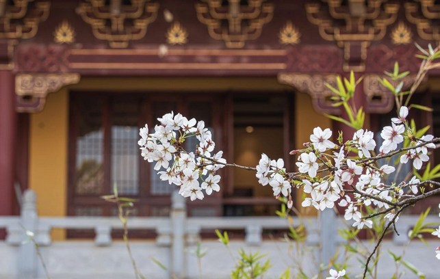 1618991415579506.jpg 38.jpg