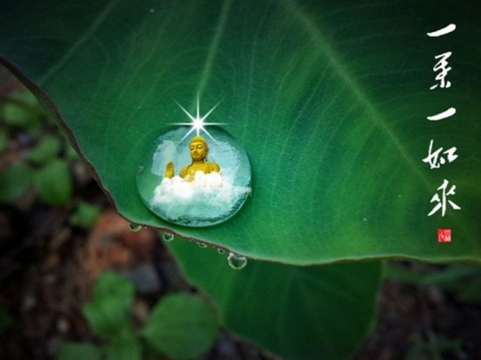 1618991636241080.jpg 微信图片_20201013094830.jpg